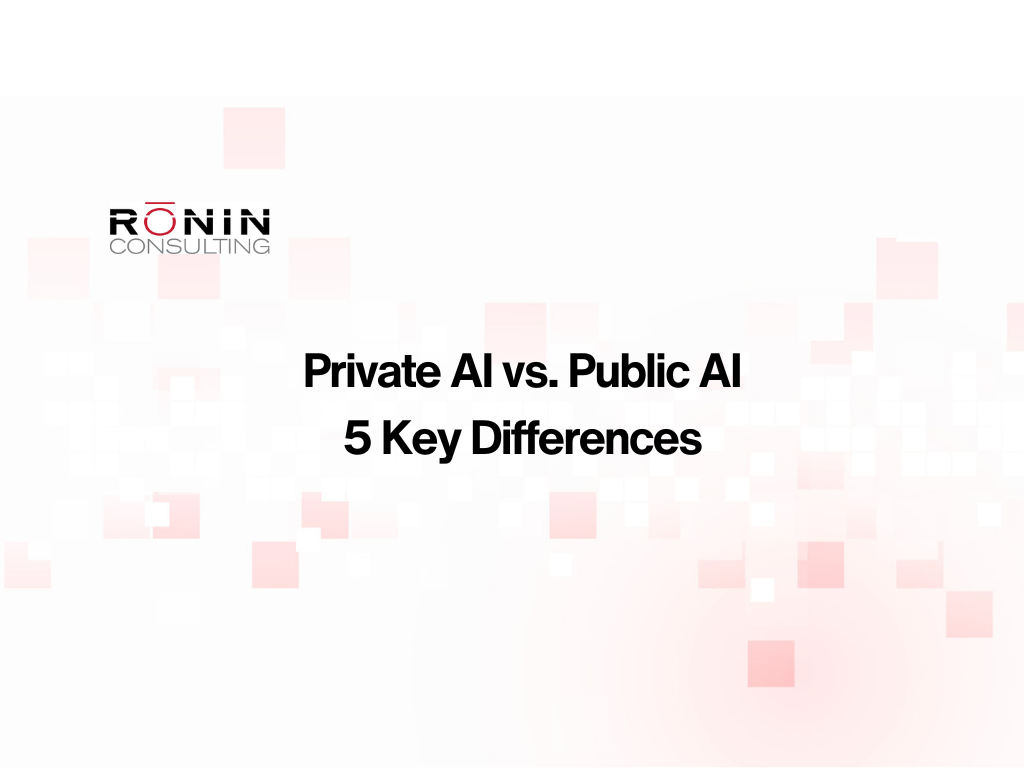 public ai vs private ai