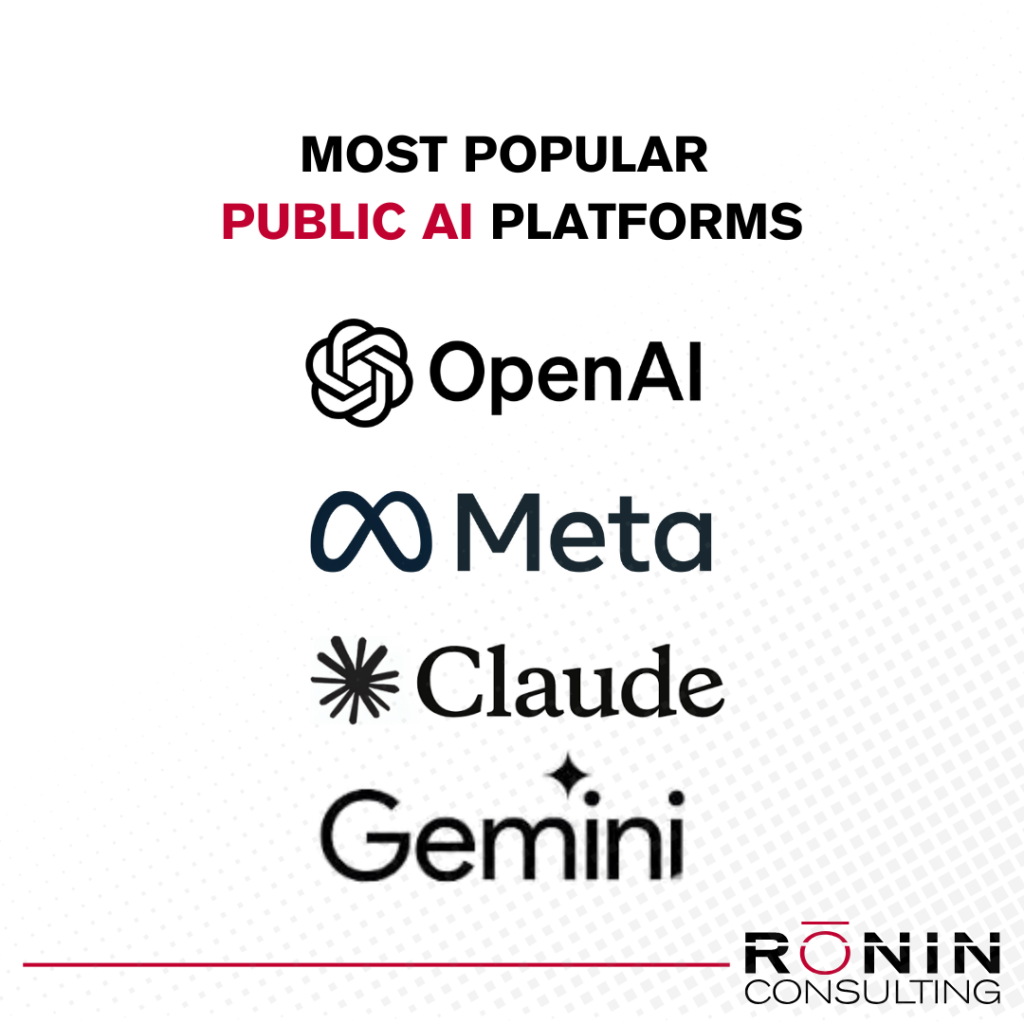 public ai